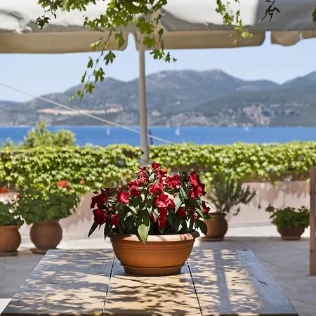 Tasoula With Sea View 5 公寓 尼基亚娜