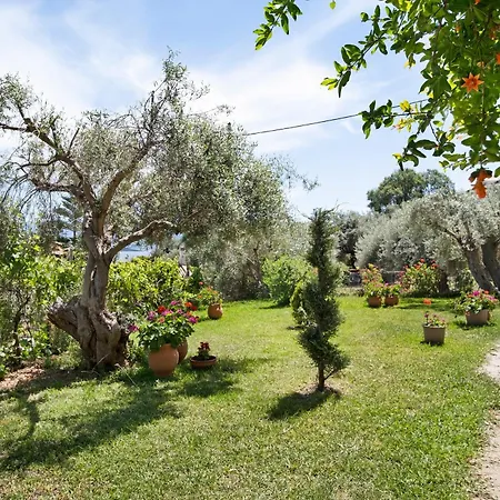 Appartement Tasoula With Sea View 5